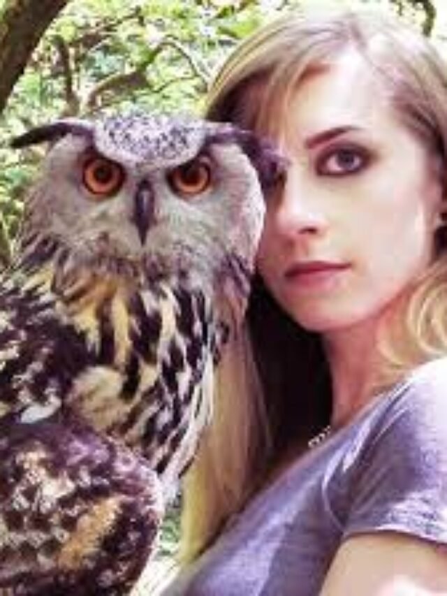 Meet Hoot, the most well-known owl in the world, an ow